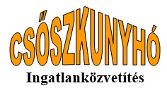 Csősz Ottó irodája