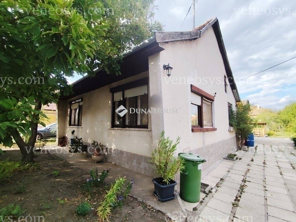 Kép 10