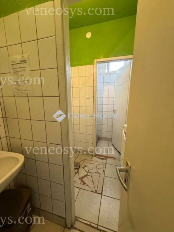 Kép 19