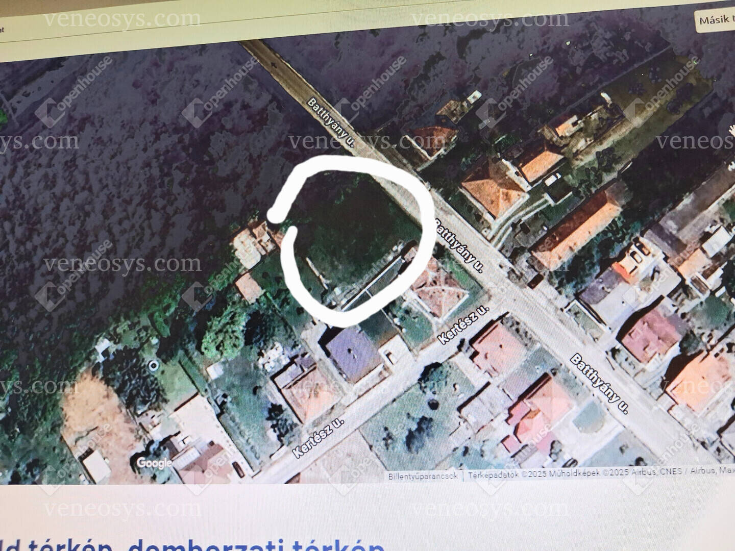 Kép 3