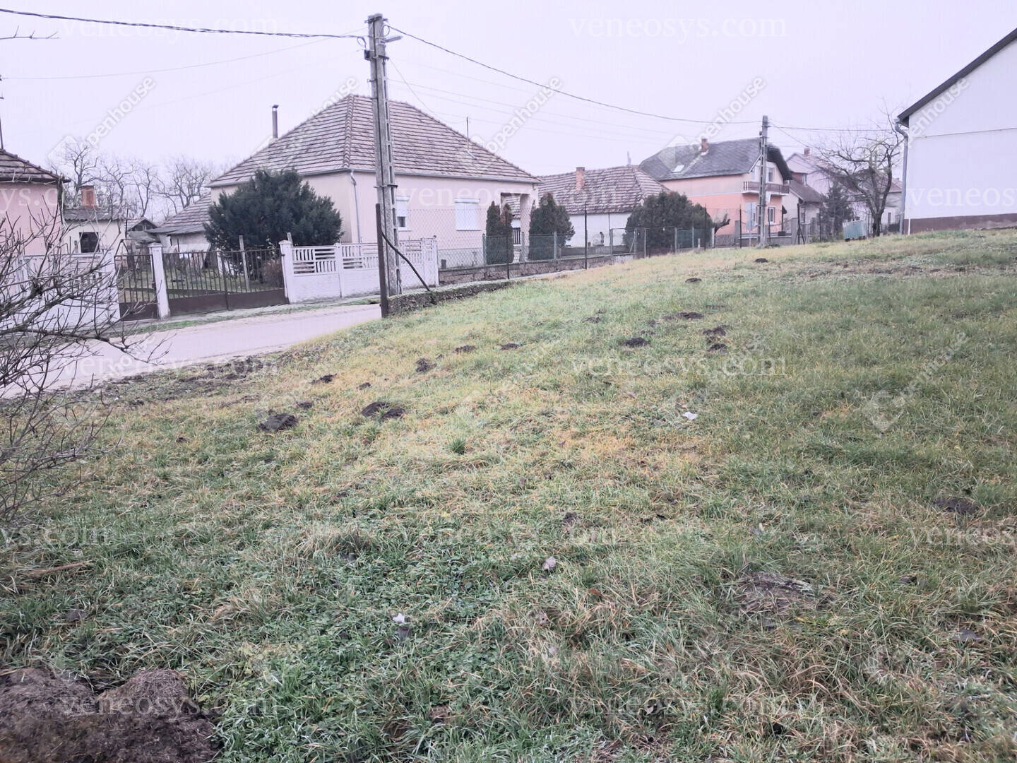 Kép 2