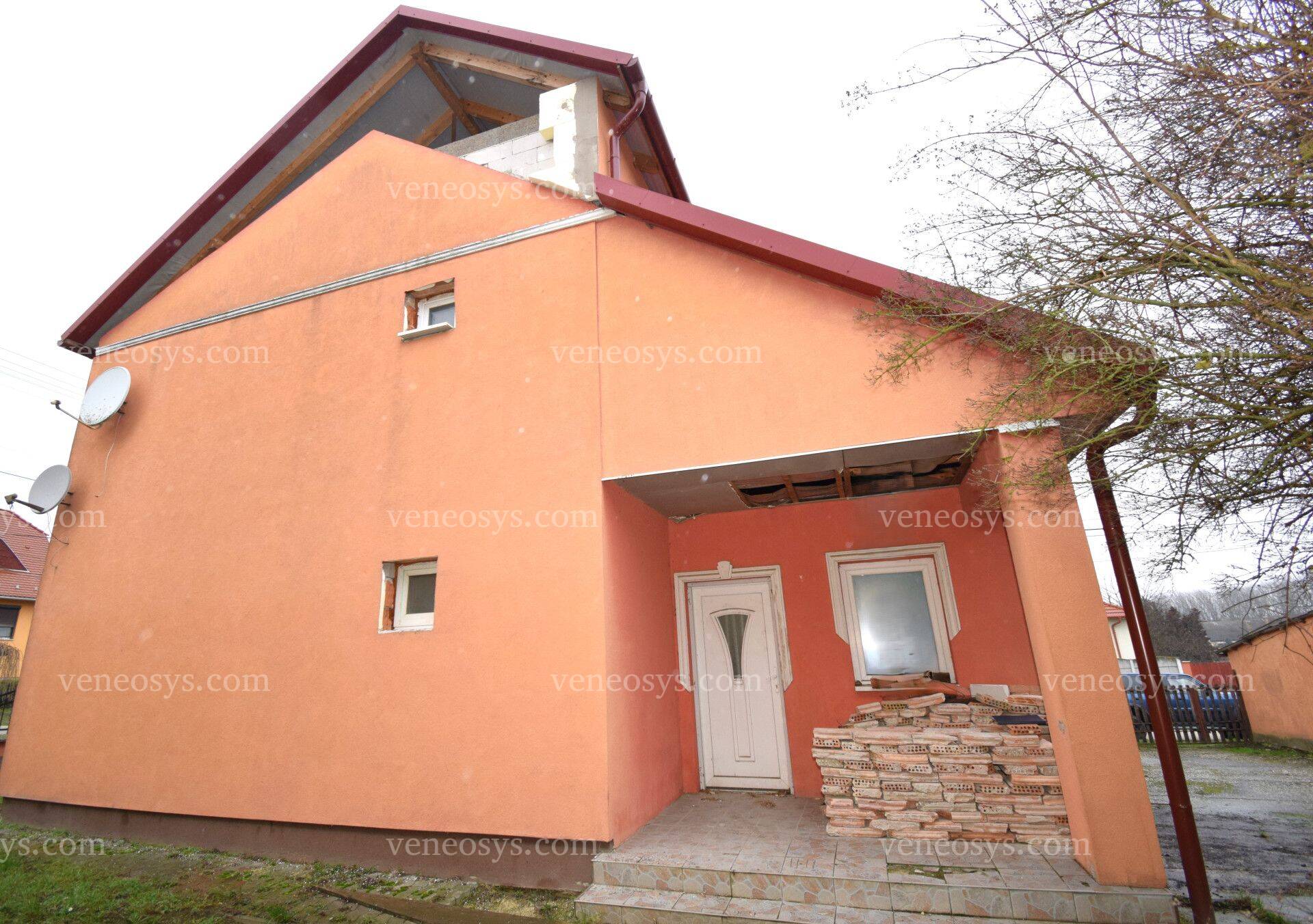 Kép 7