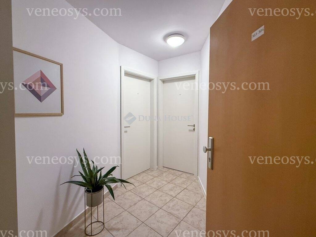 Kép 5