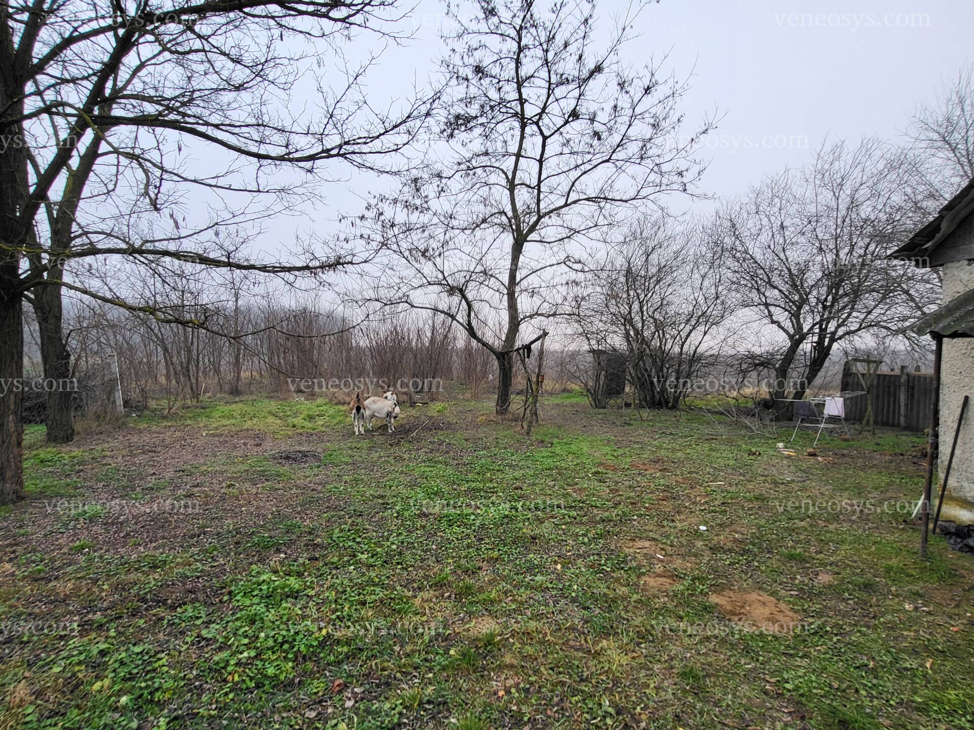 Kép 4