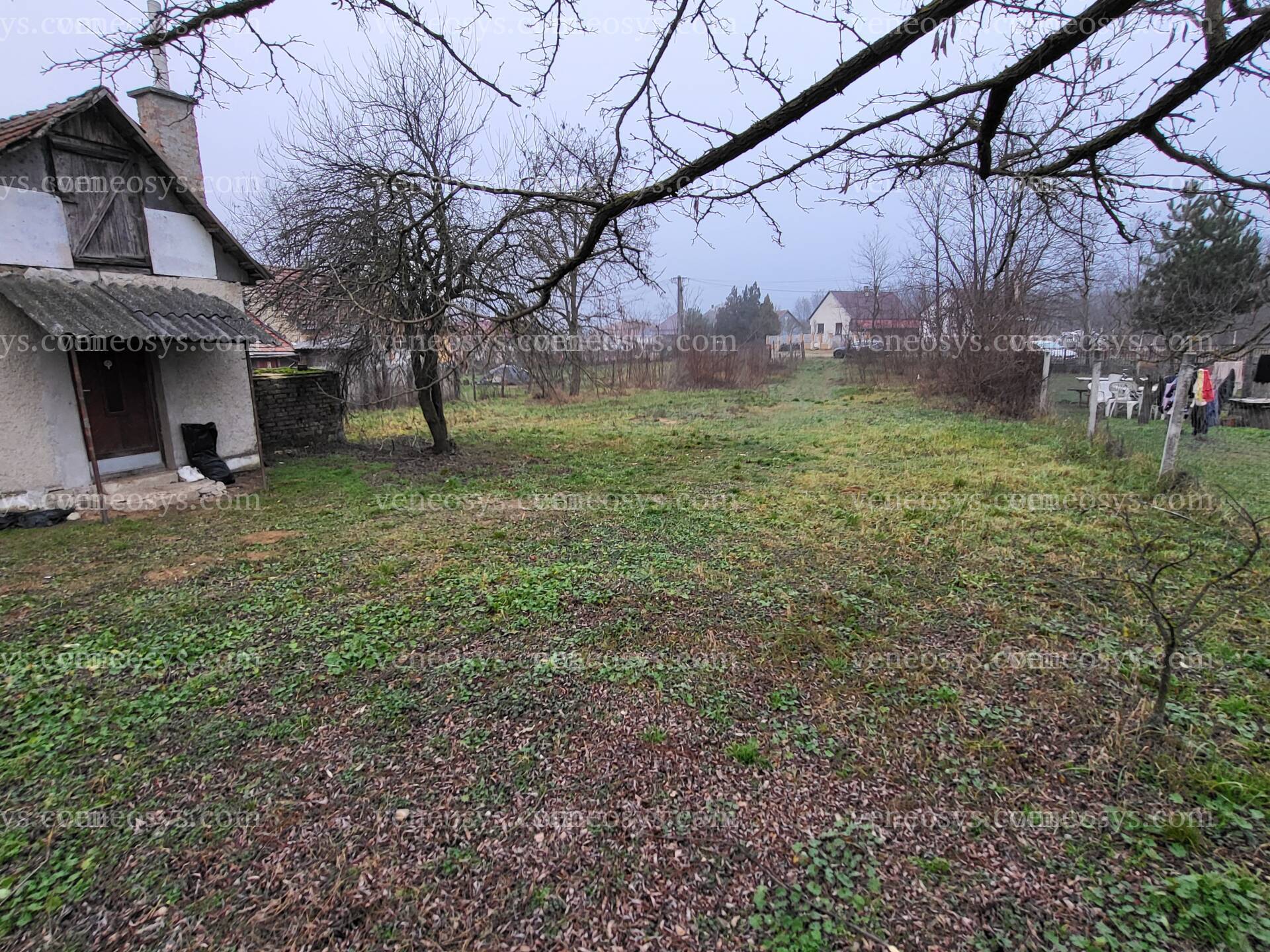 Kép 5