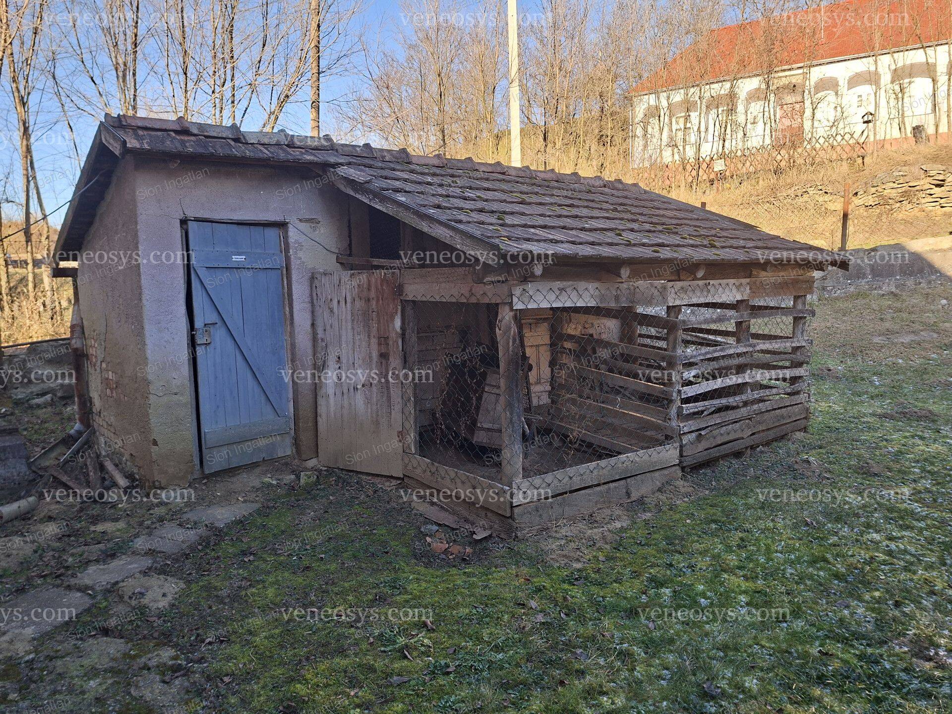 Kép 14