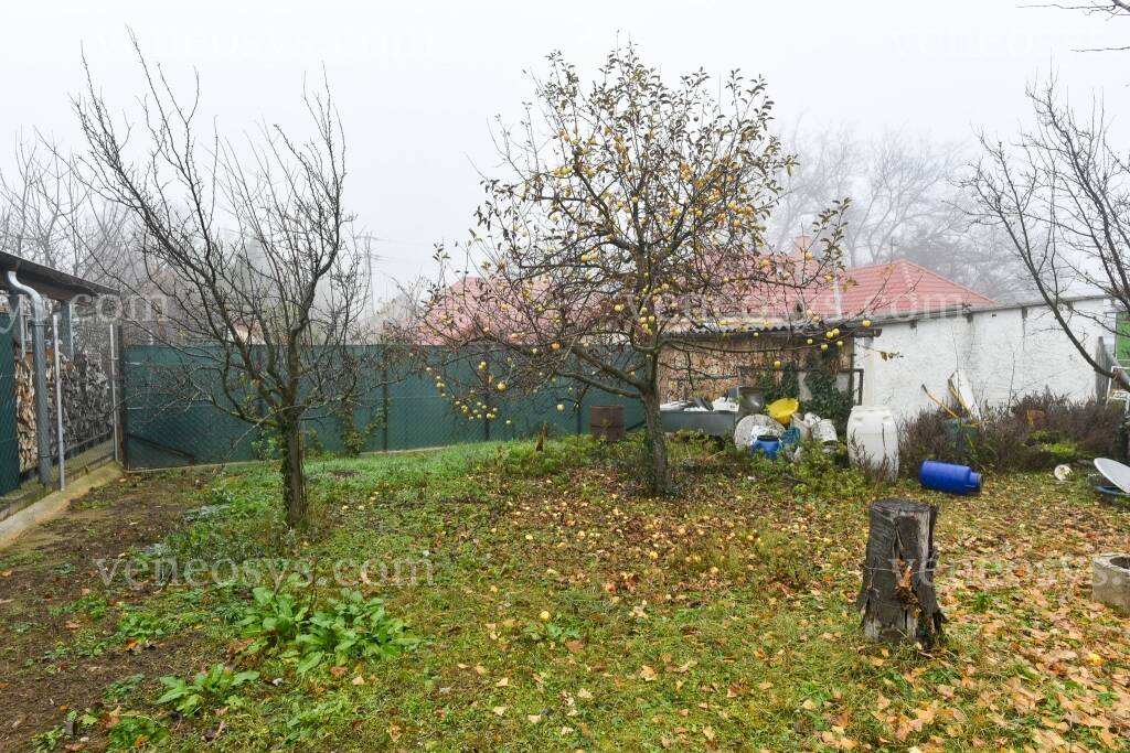 Kép 5