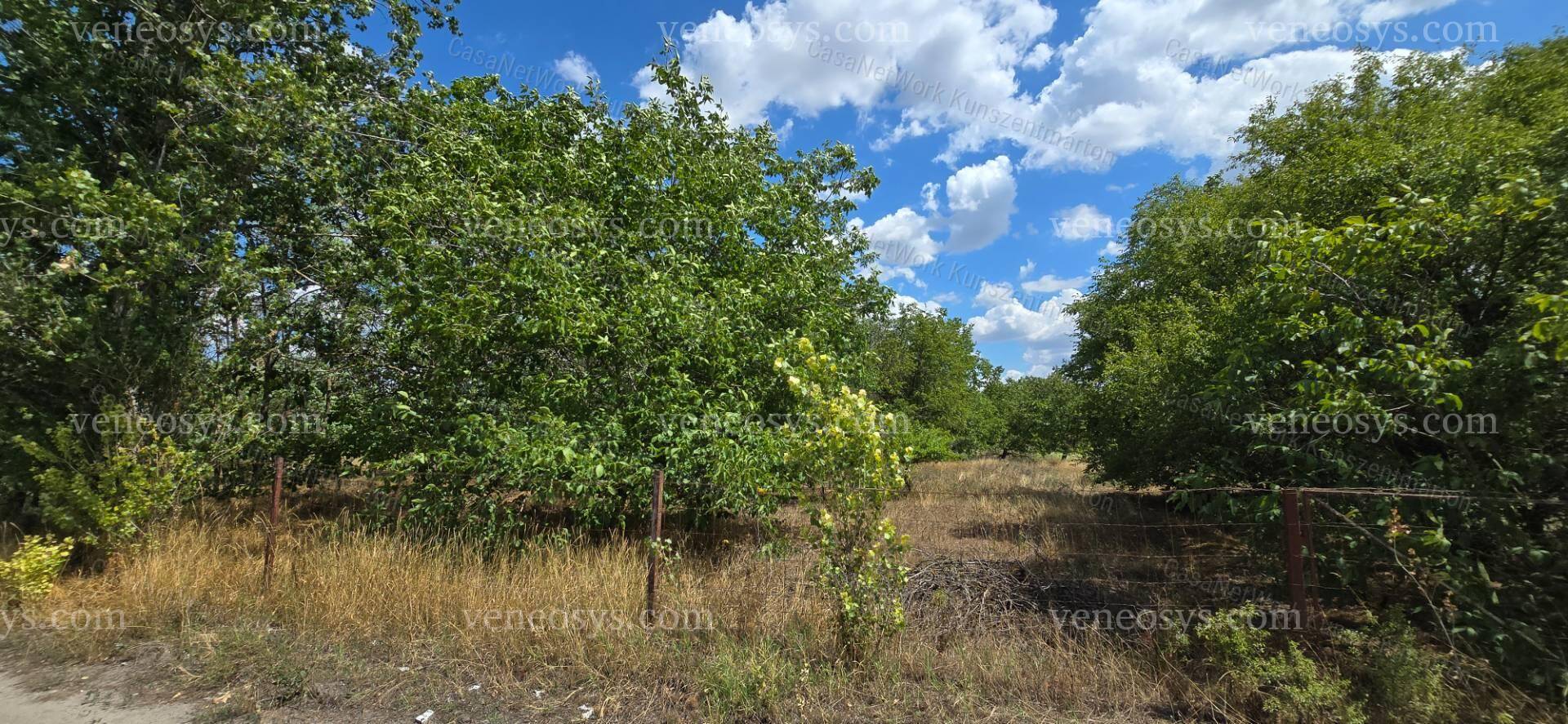 Kép 6