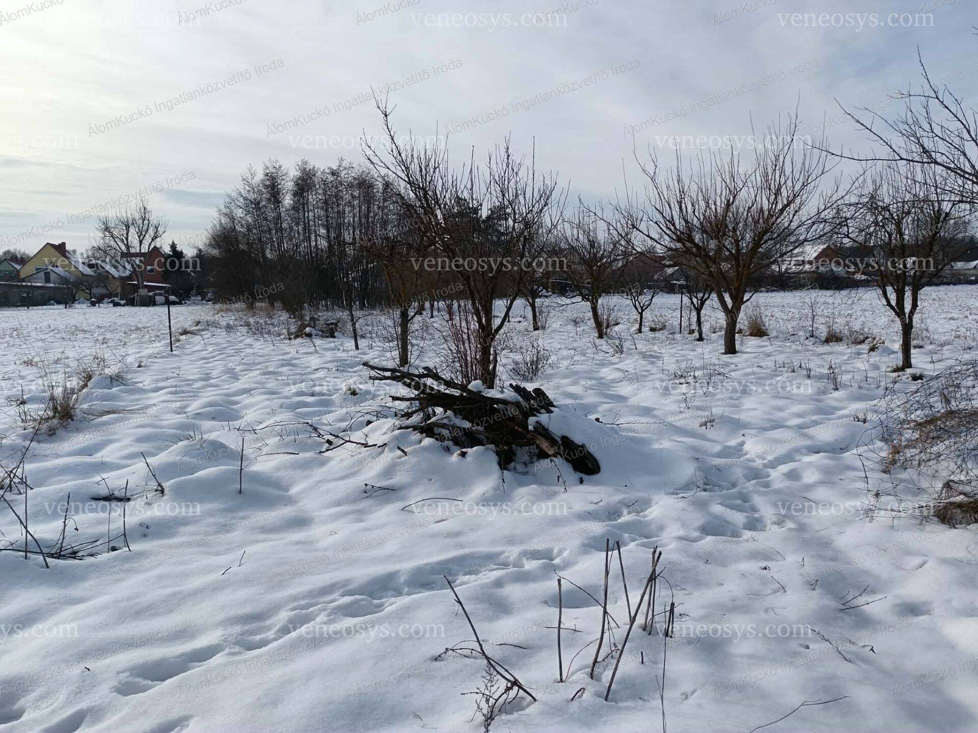 Kép 8