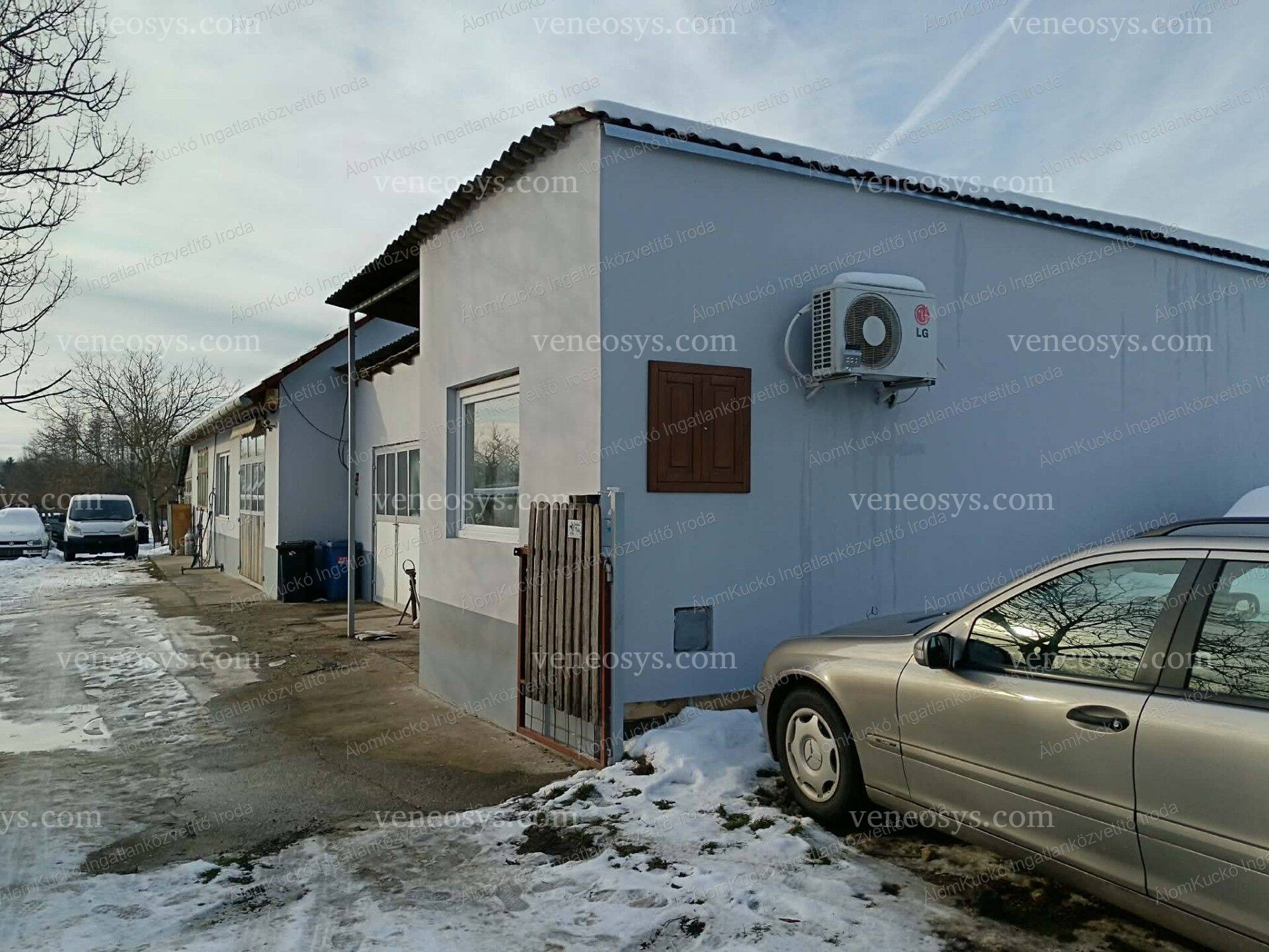 Kép 6