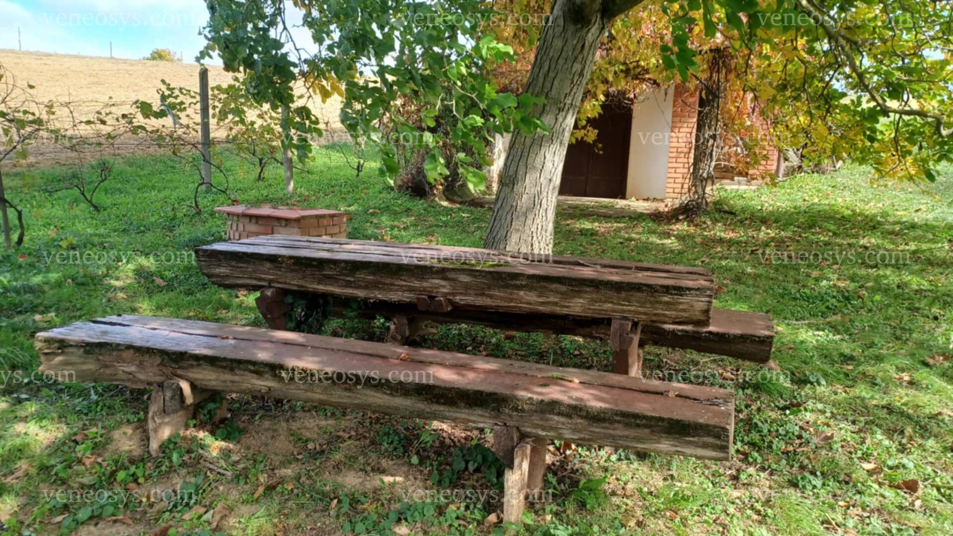 Kép 8