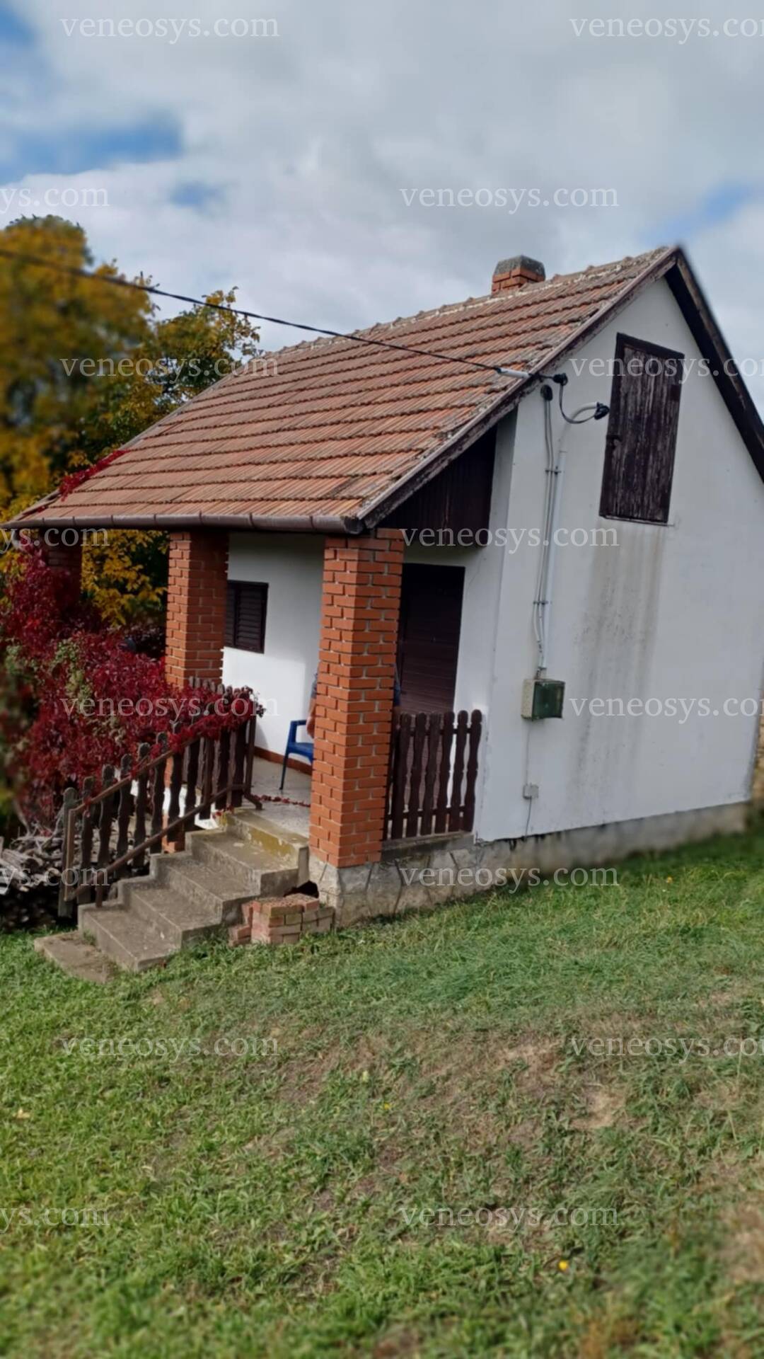 Kép 4