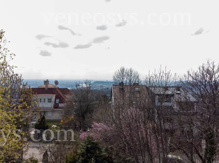 Ingatlan