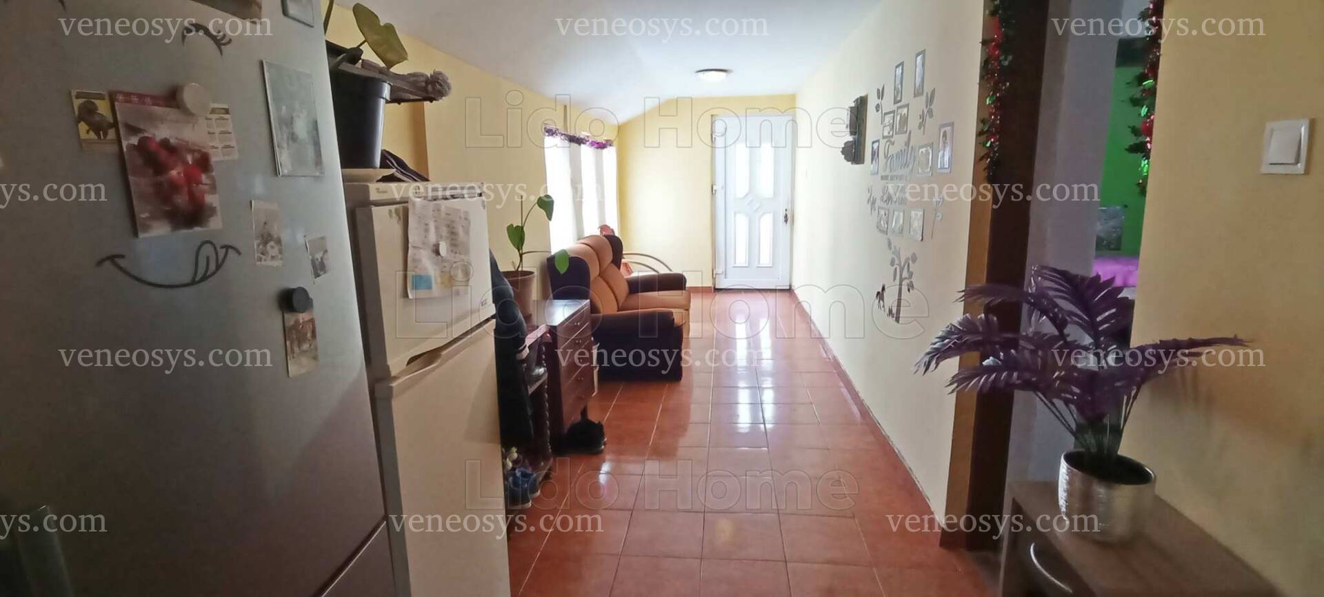 Kép 1