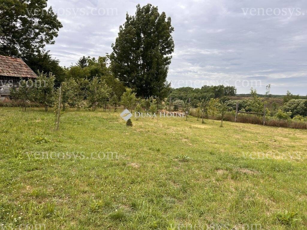 Kép 9