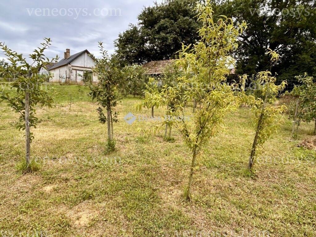 Kép 20