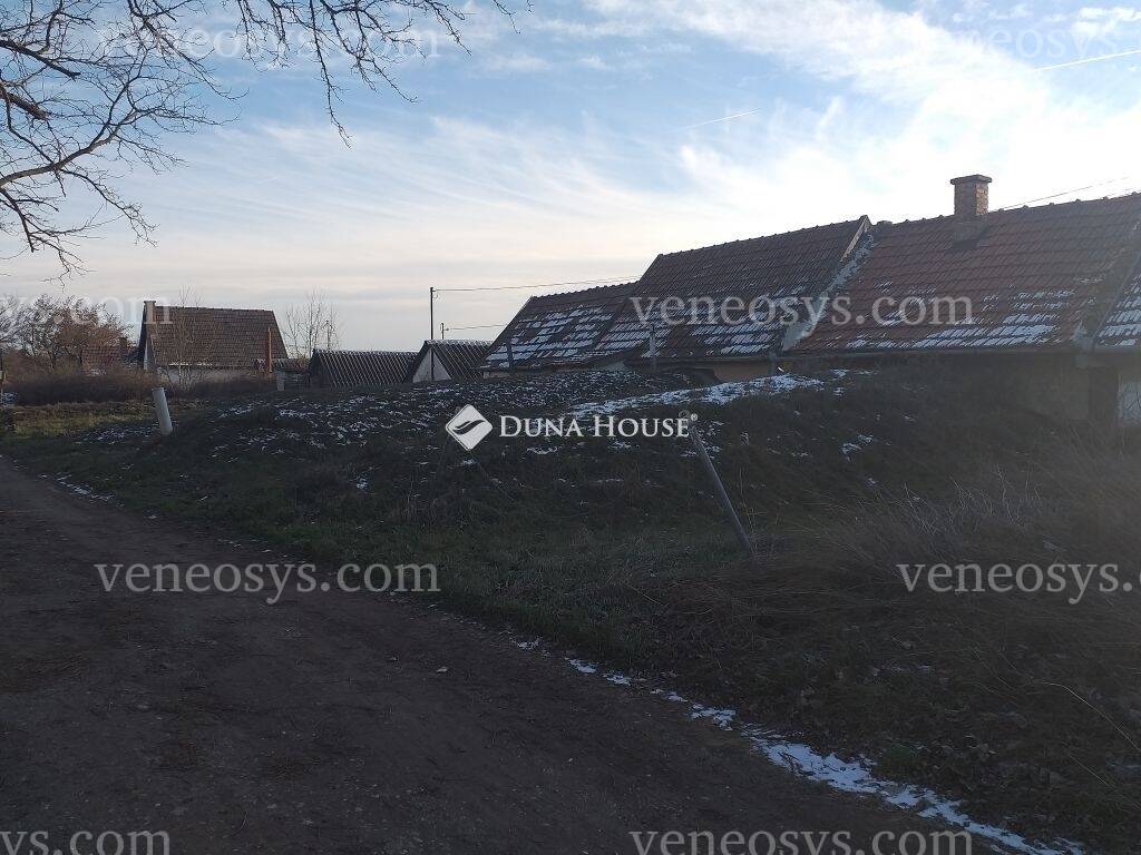 Kép 7