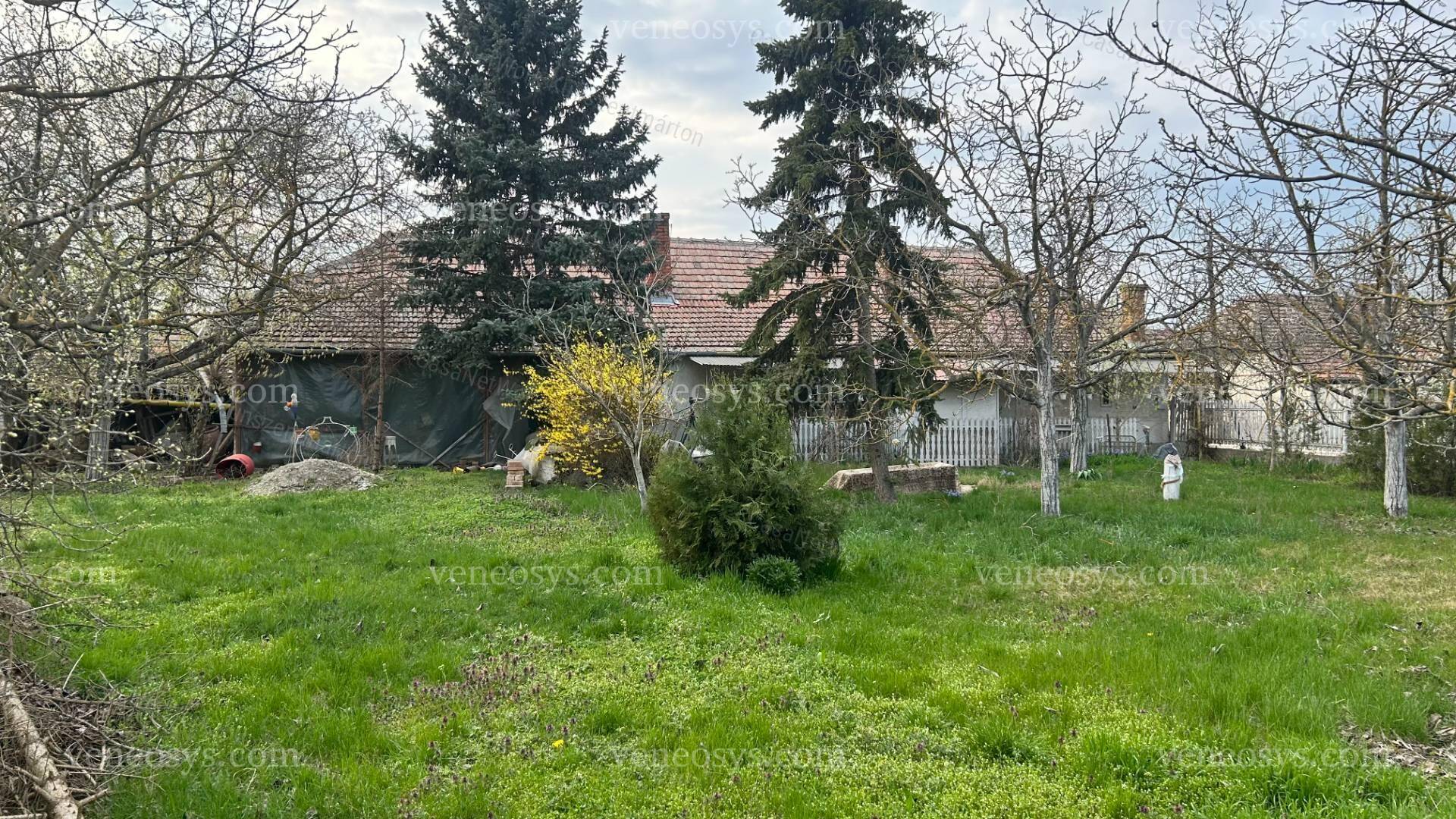 Kép 20