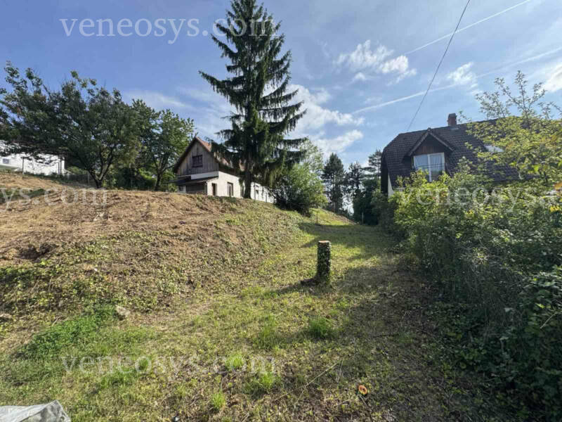 Kép 6