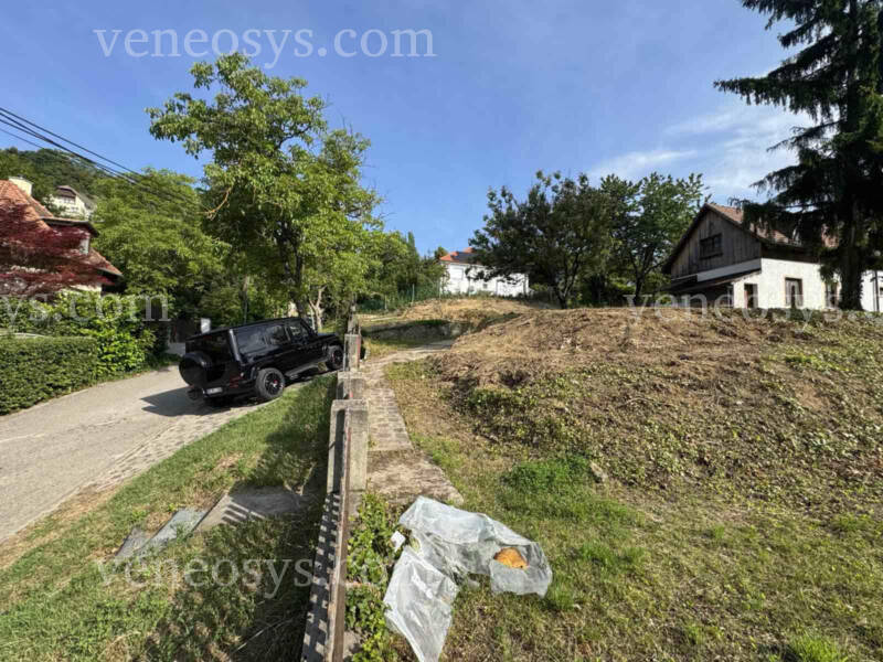 Kép 7