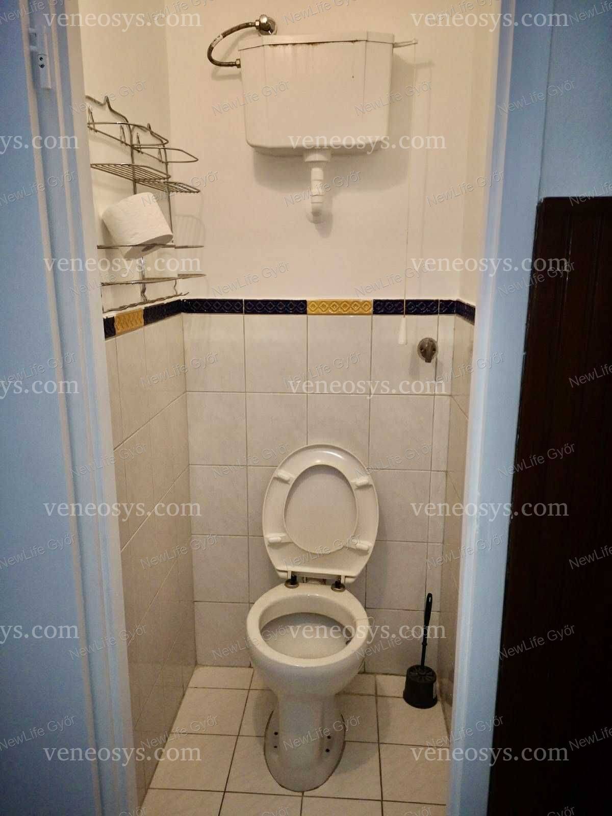 Kép 15