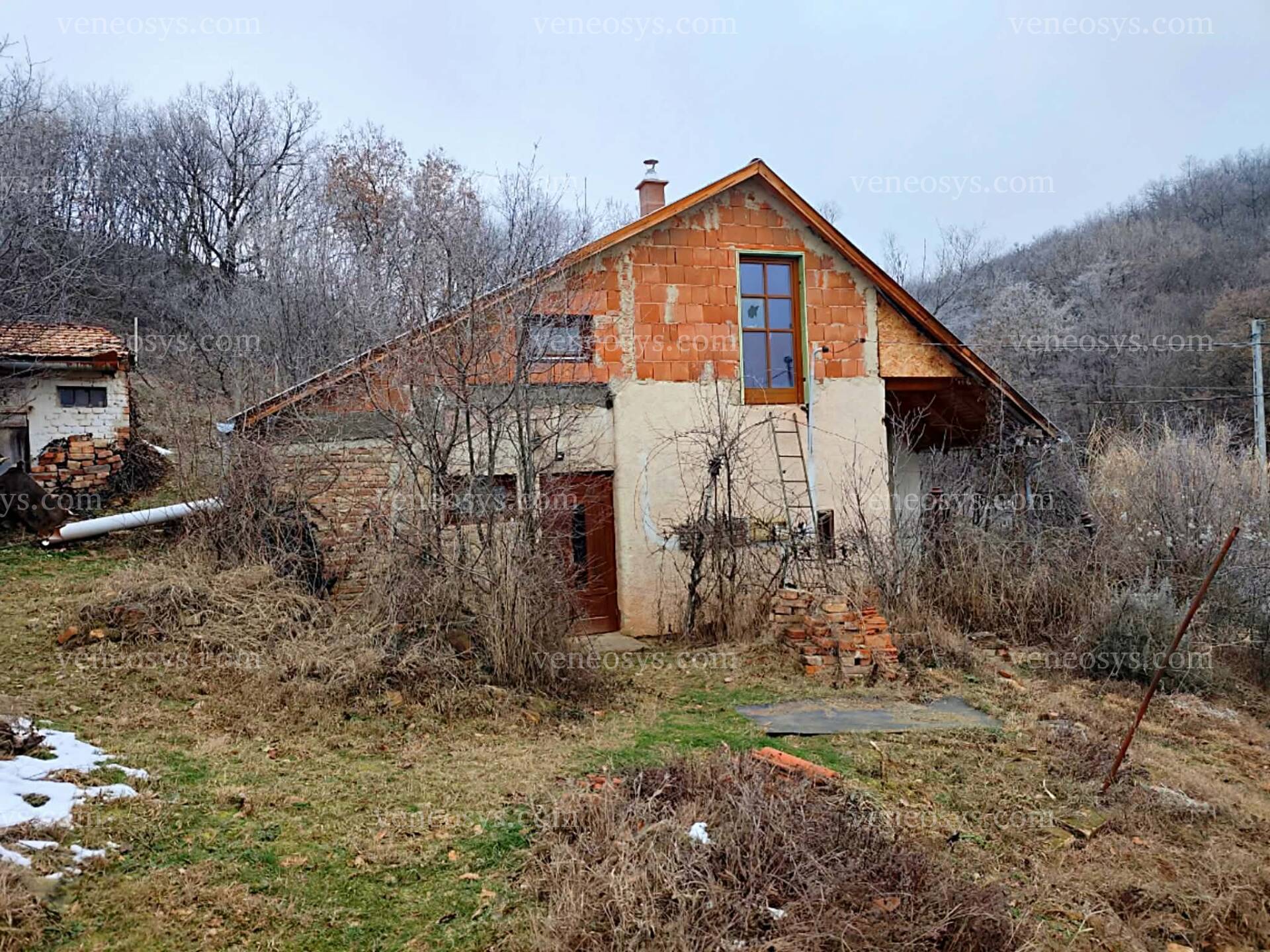Kép 3