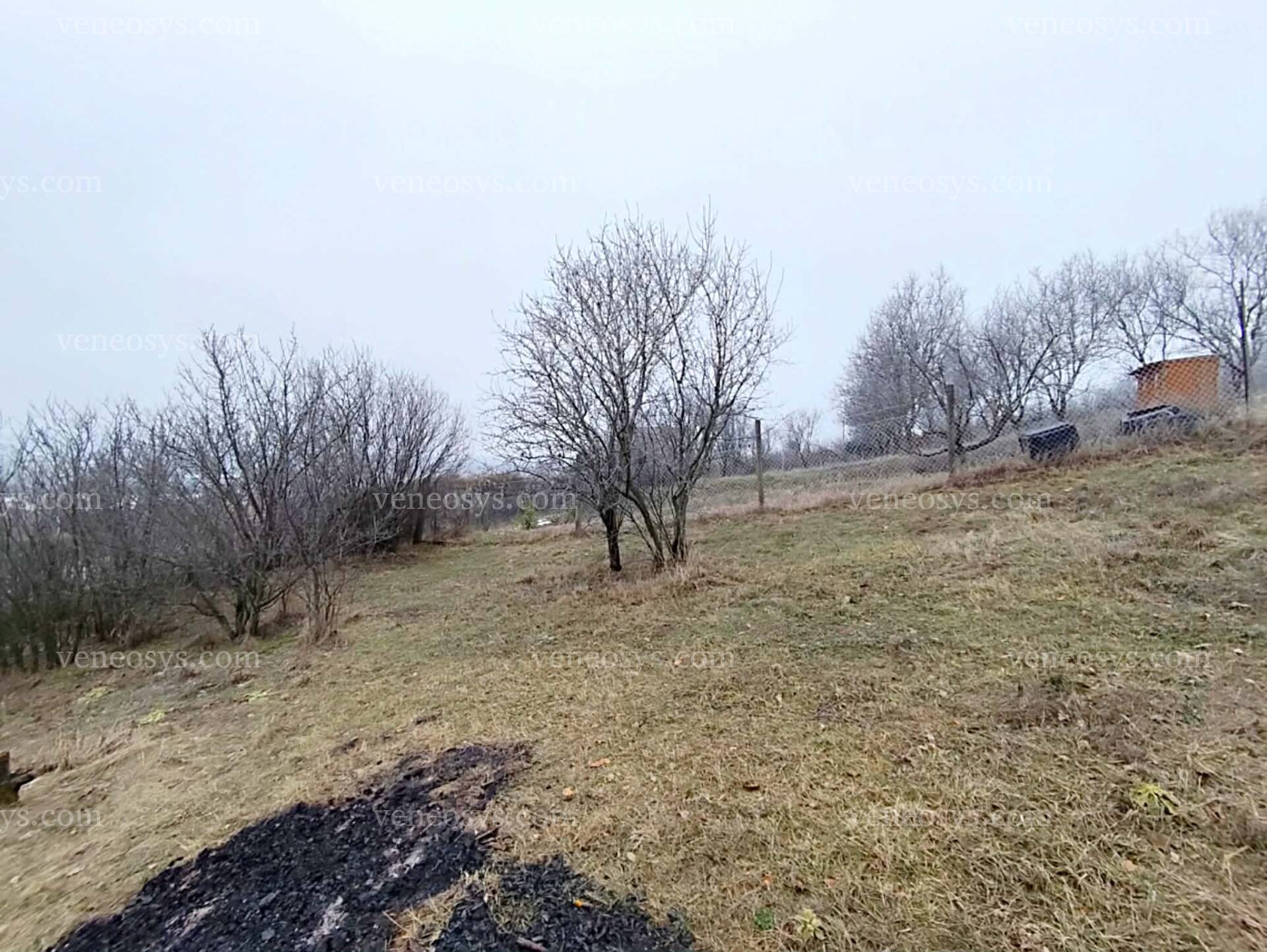 Kép 12