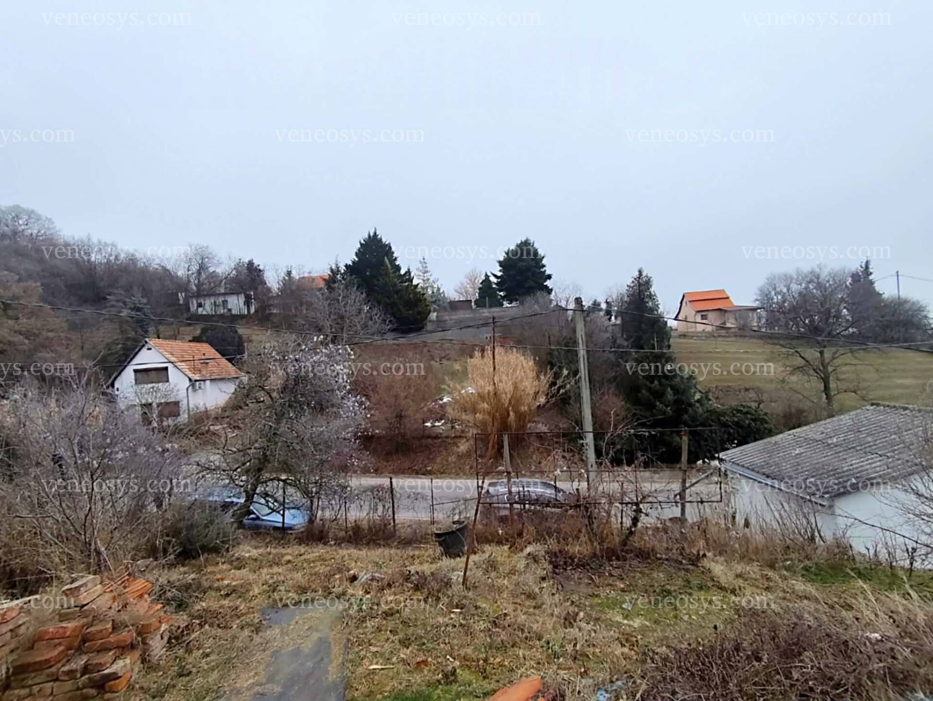 Kép 10