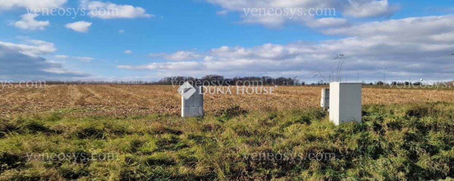 Kép 5