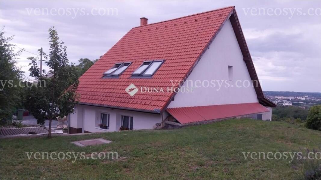 Kép 19