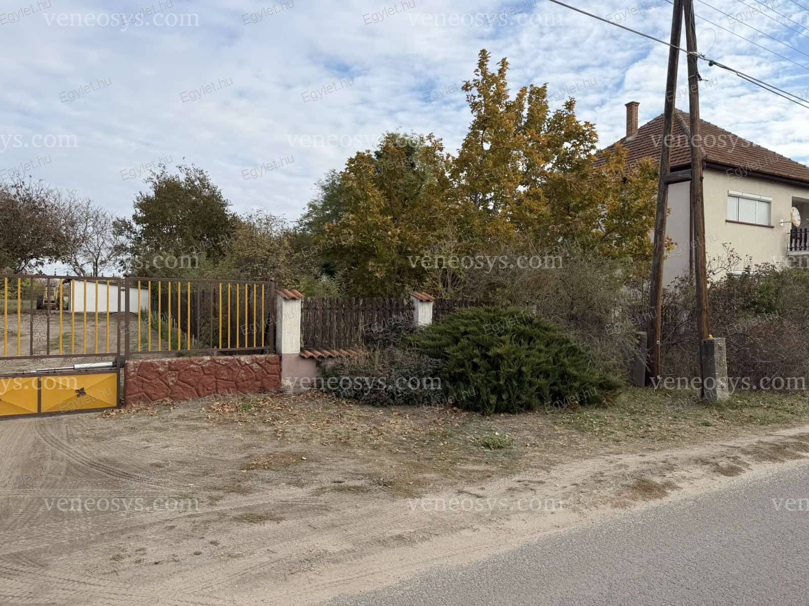 Kép 5