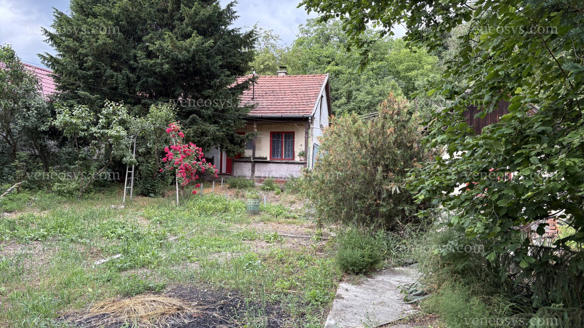 Kép 3