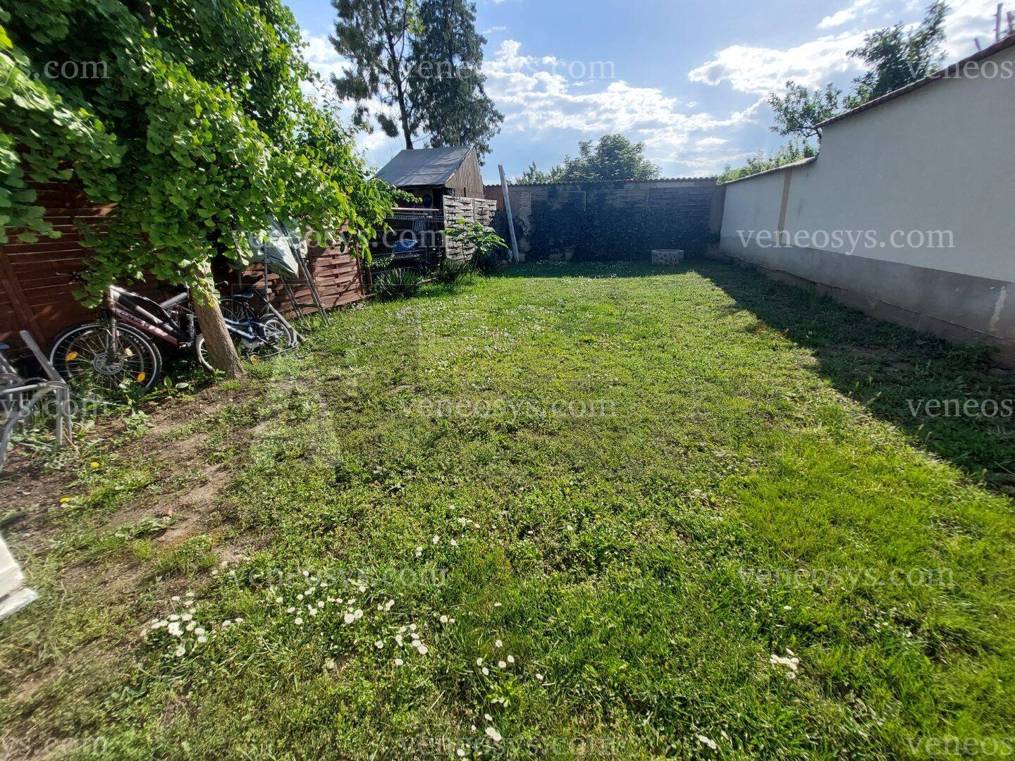 Kép 5