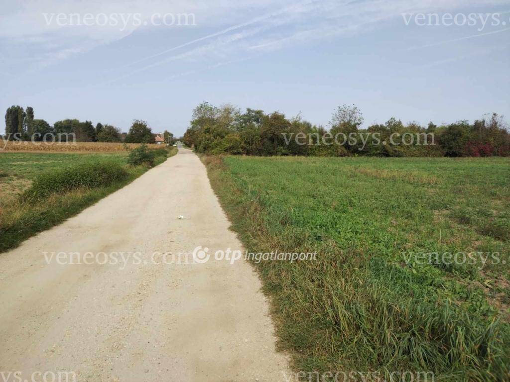 Kép 5