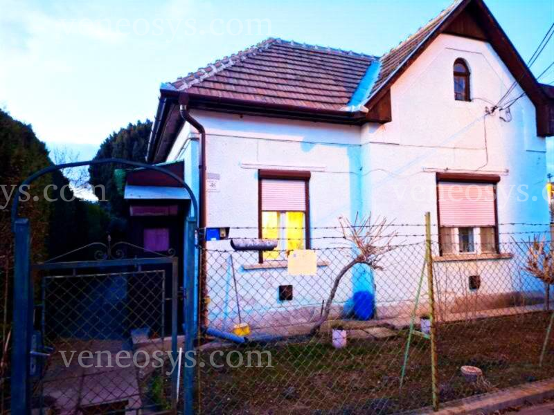 Kép 1
