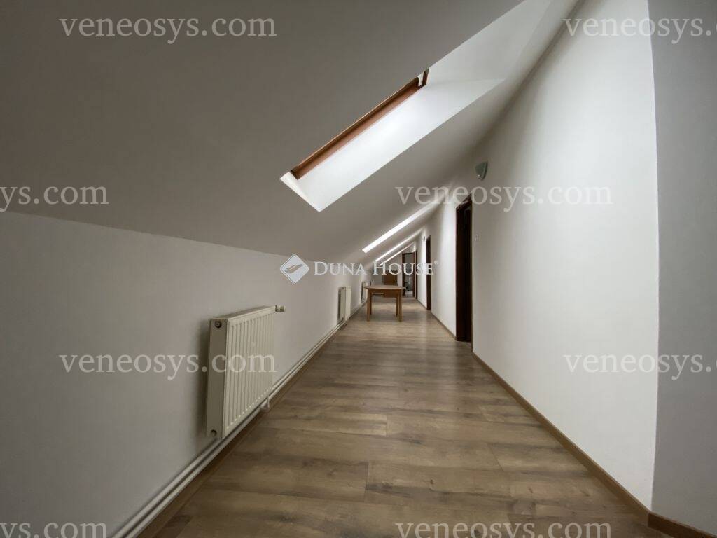 Kép 7