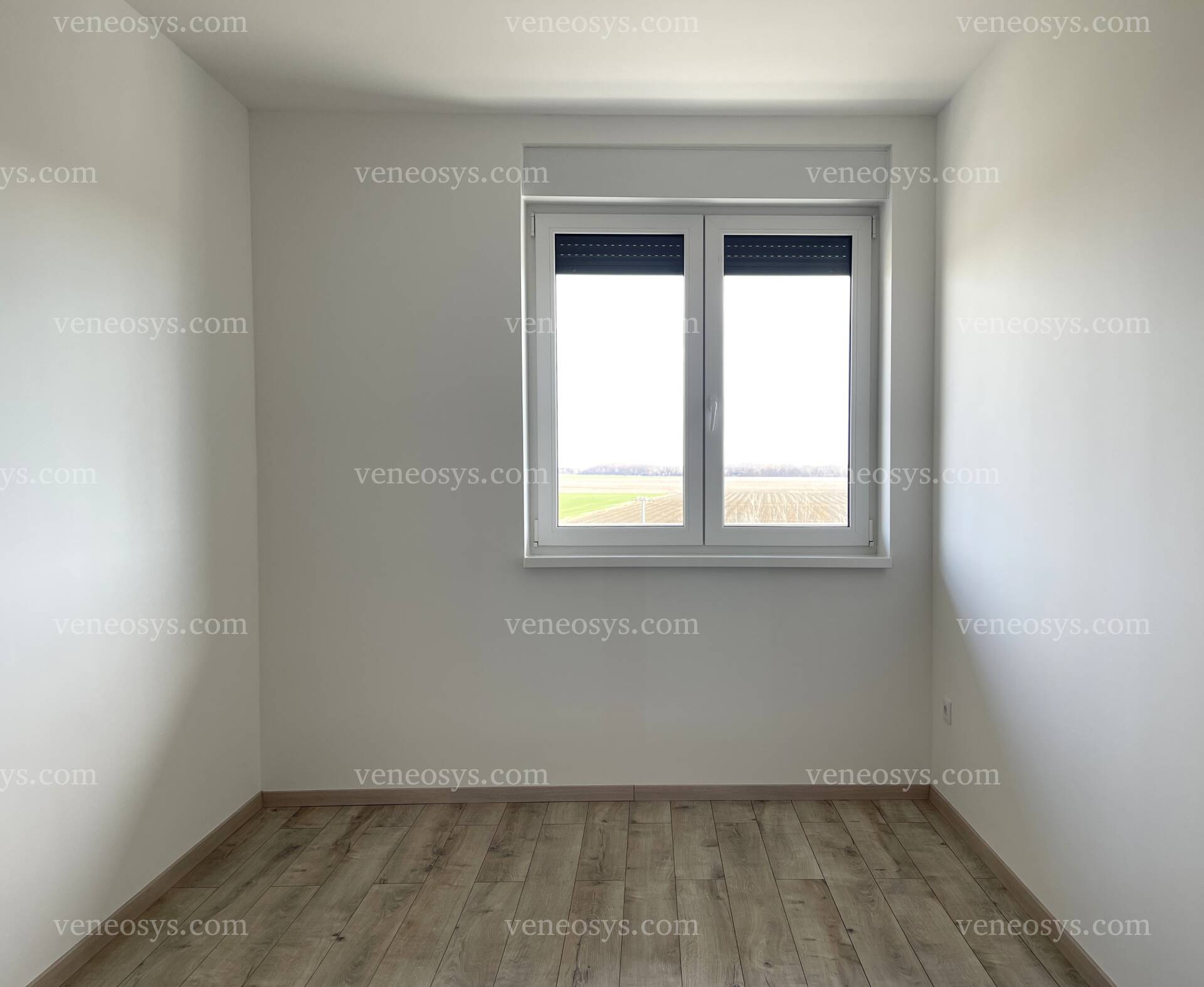 Kép 8