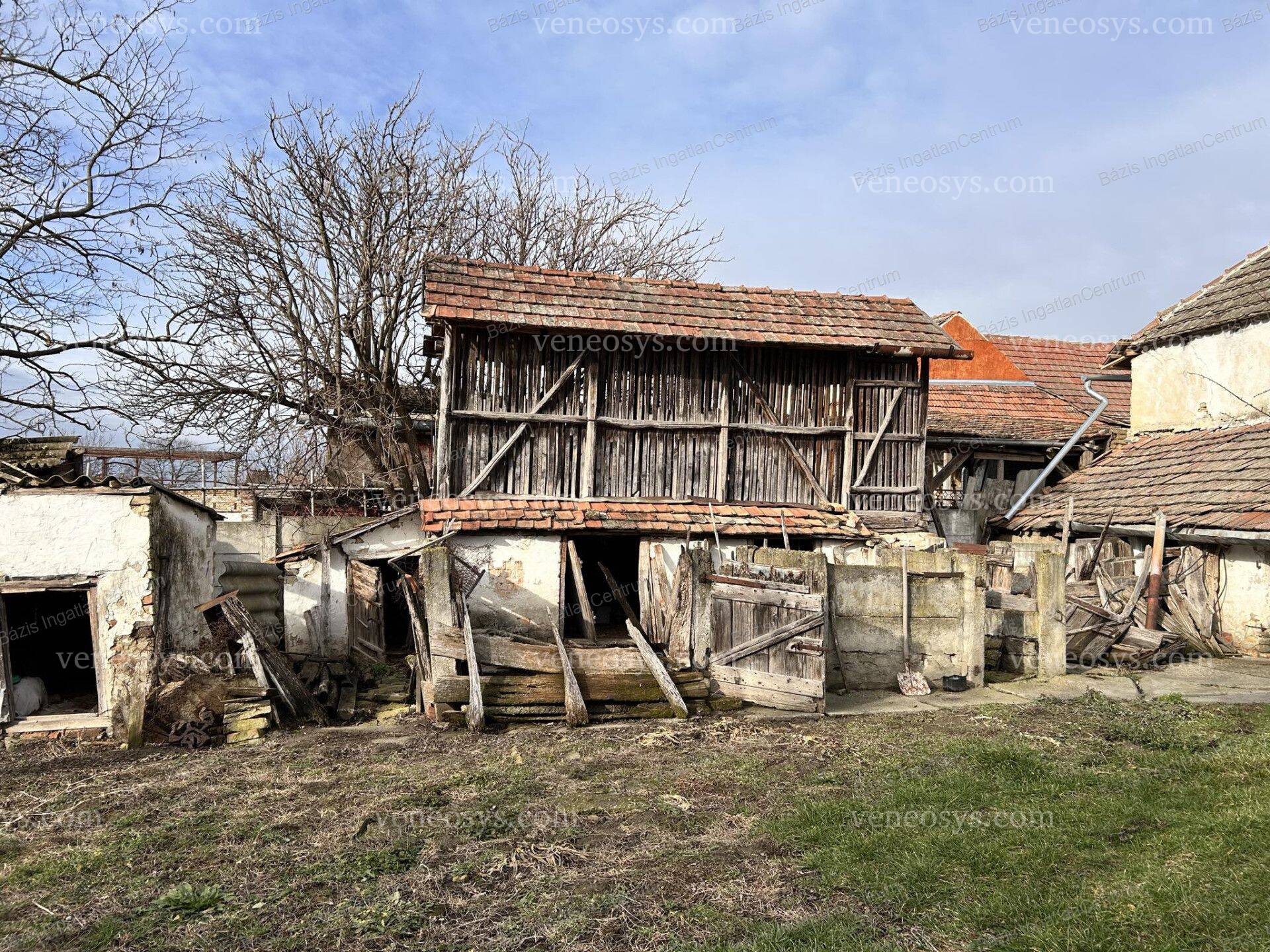 Kép 20
