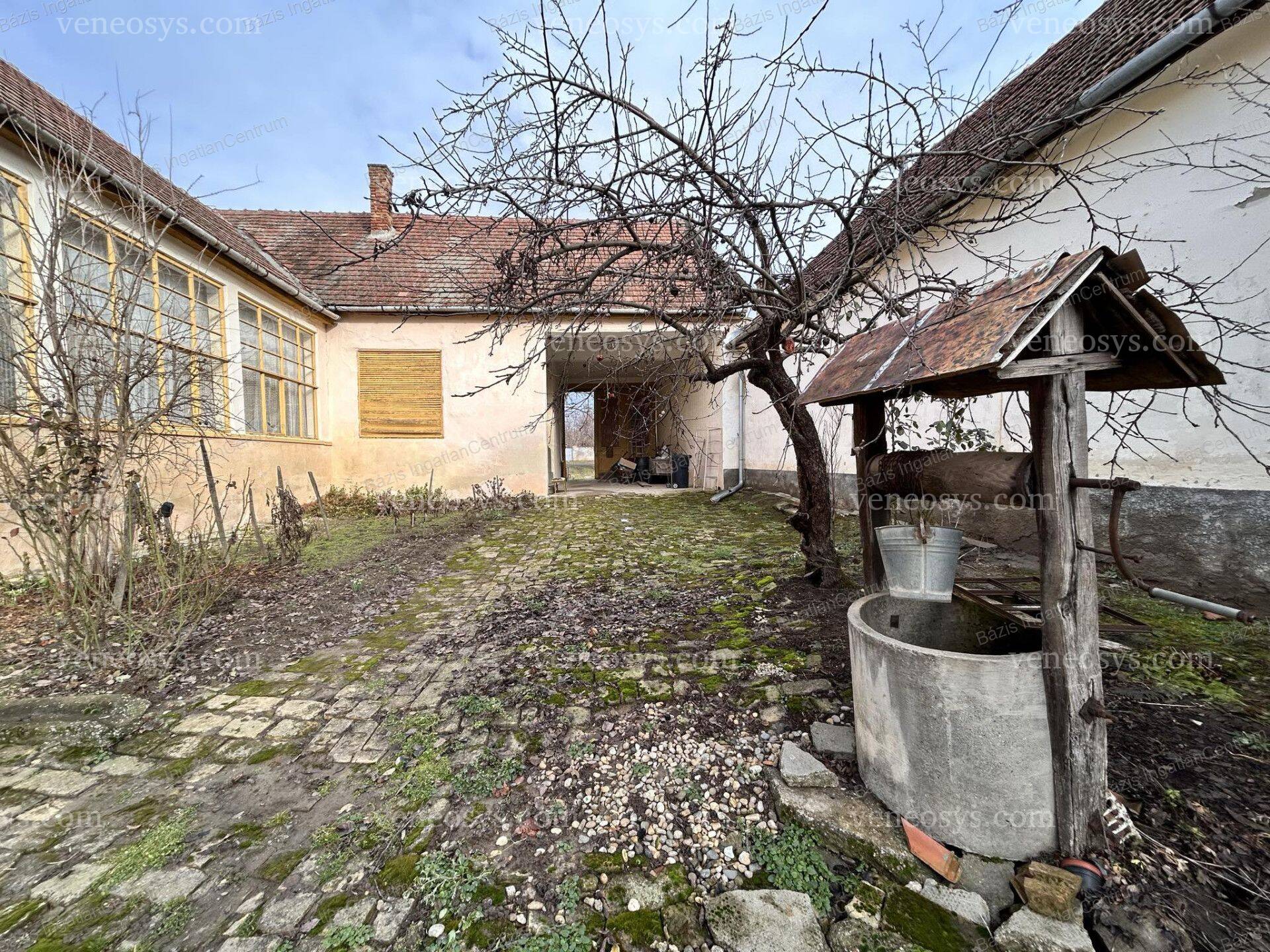 Kép 5