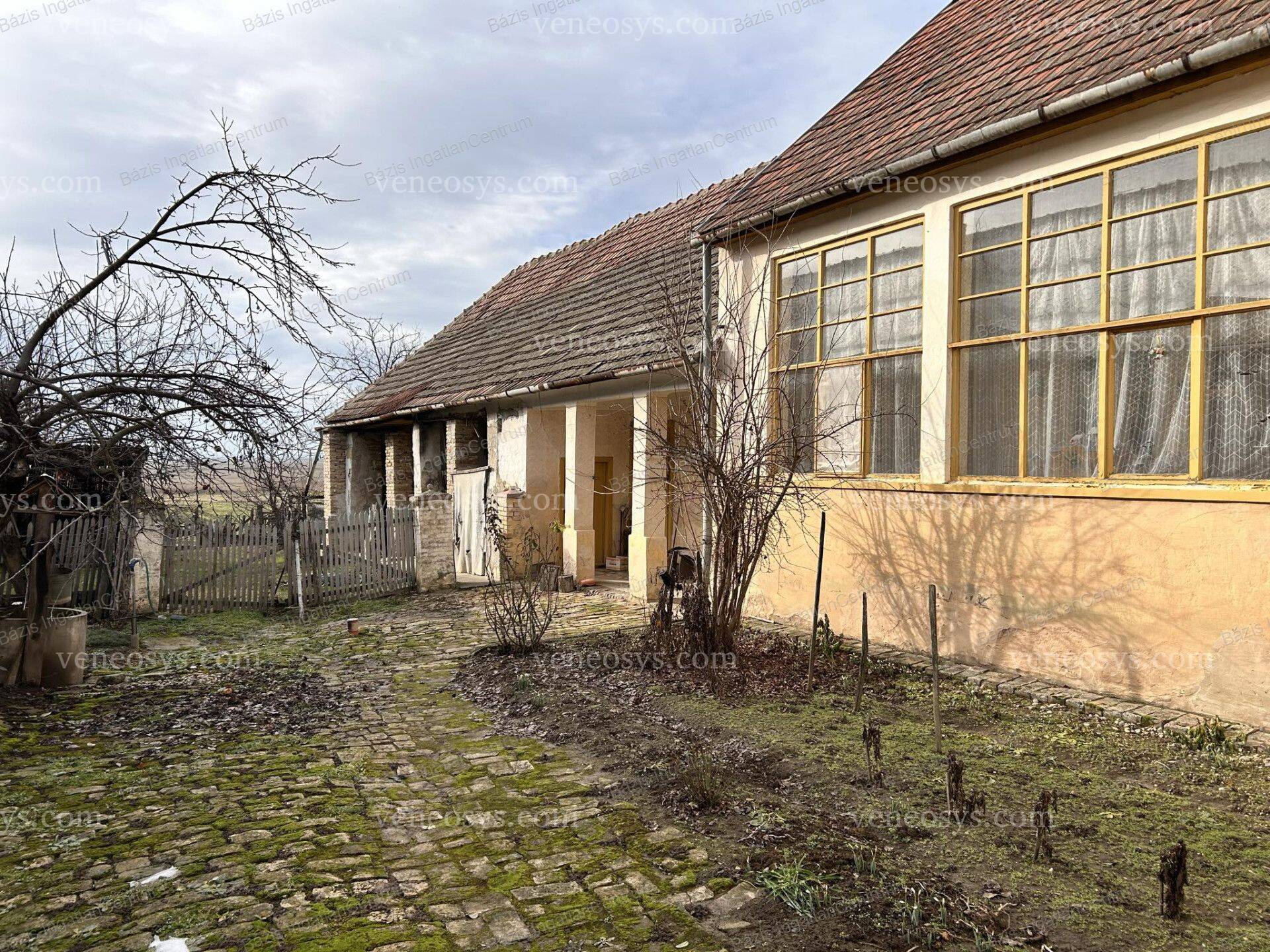 Kép 4