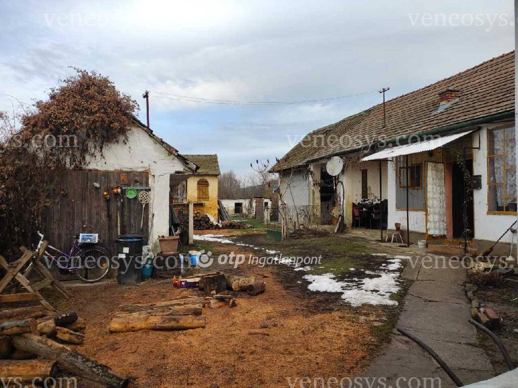 Kép 4