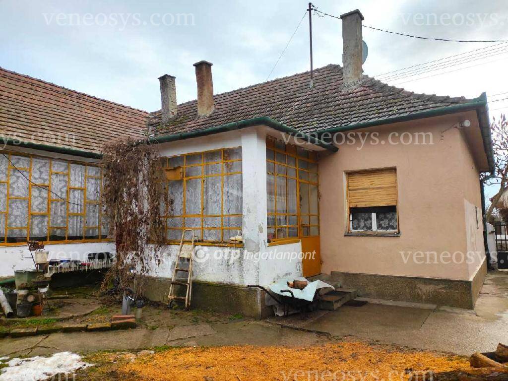 Kép 6