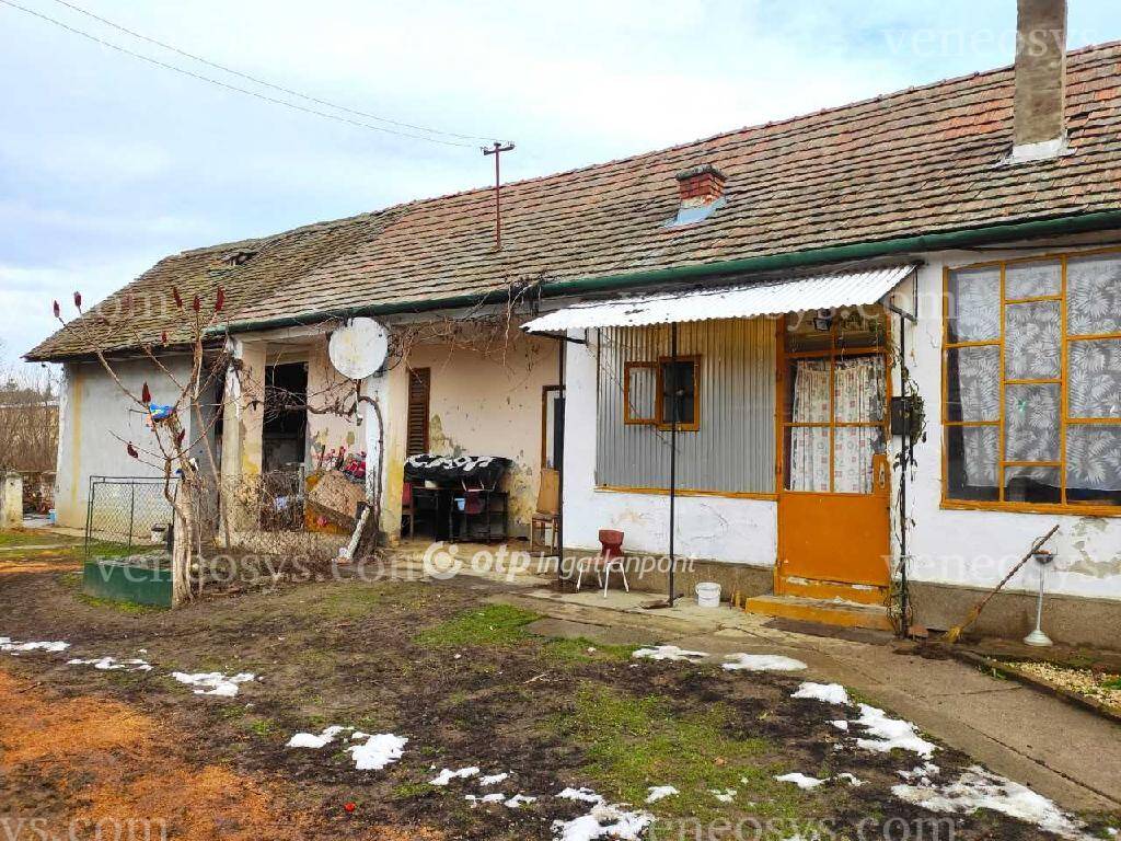 Kép 5
