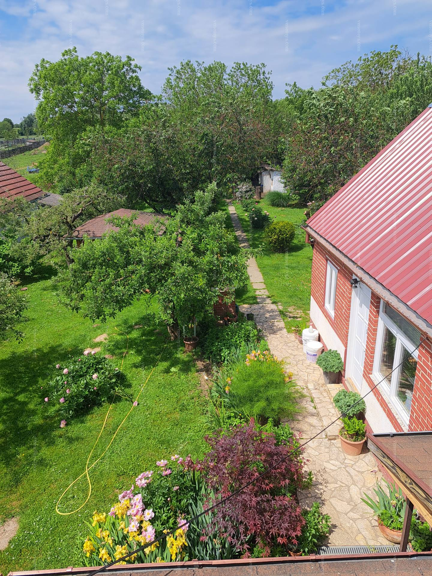 Kép 26