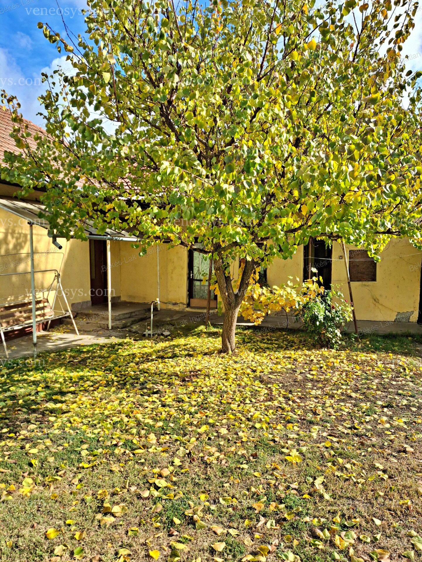 Kép 4