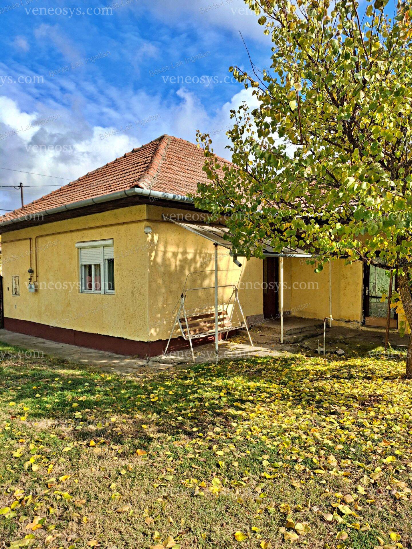 Kép 3