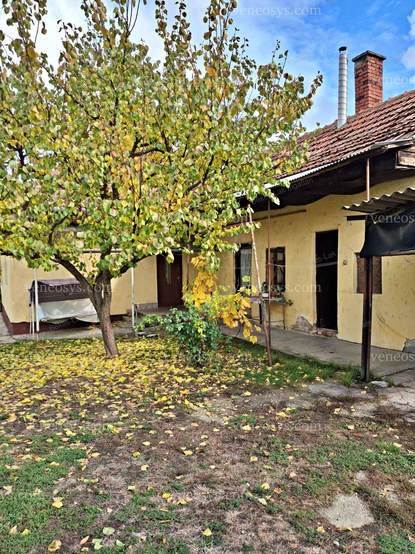 Kép 2