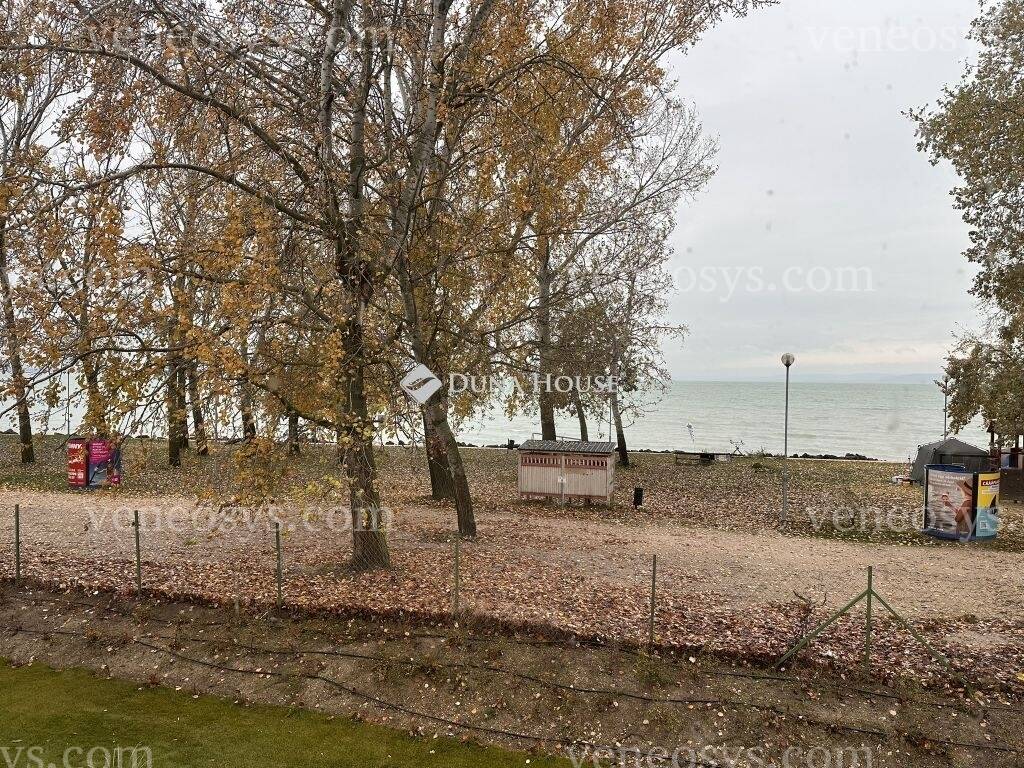 Kép 15