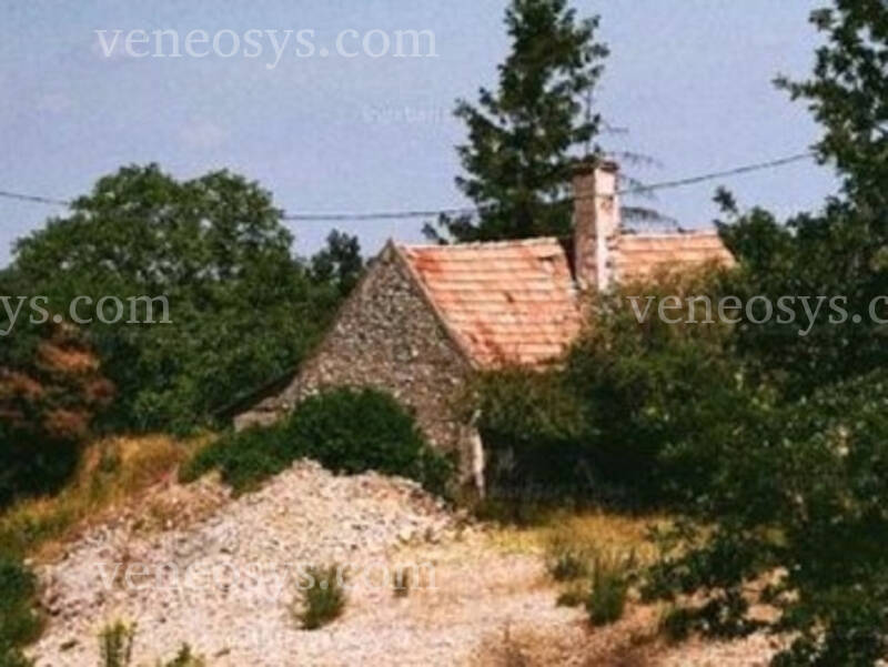 Kép 6