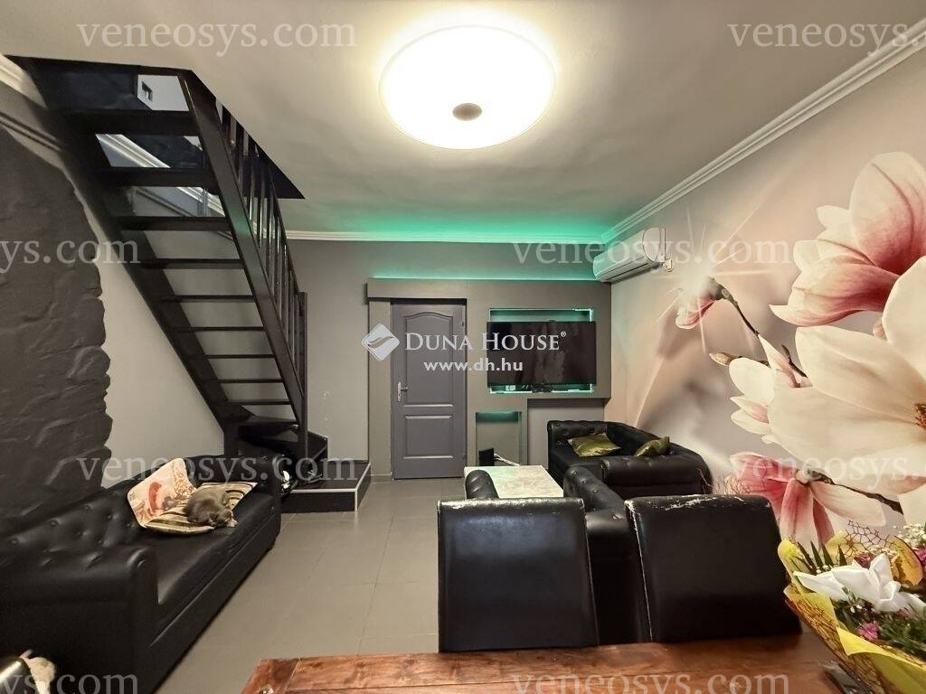 Kép 15